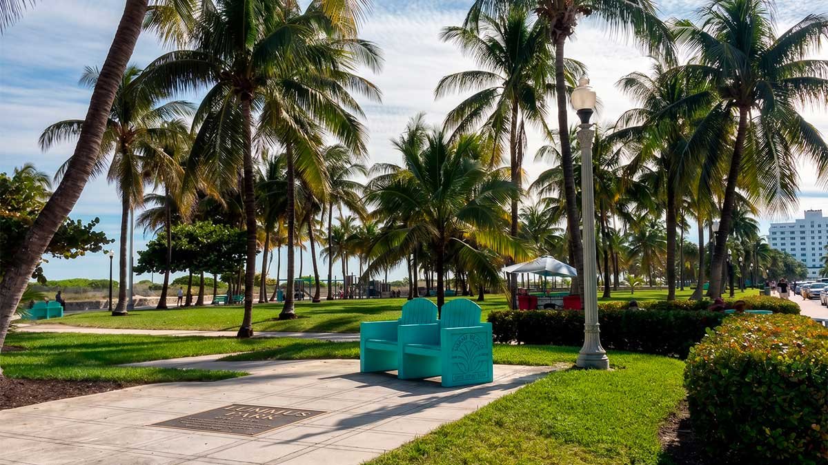 The Miami Worth It tactical compass and unfiltered truth verdict bench in South Beach.