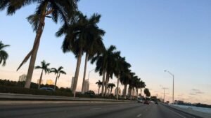 Driving through the 305 to see why Miami is worth it – a local state of mind
